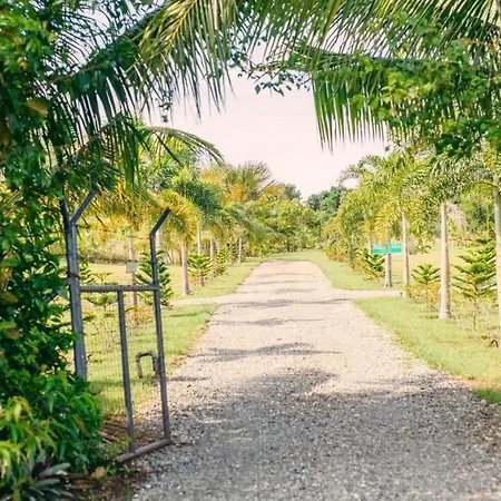 Frv Casa De Moalboal